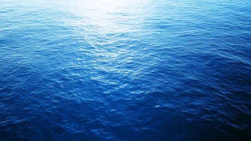 Sunlit blue ocean surface with gentle rippling waves.