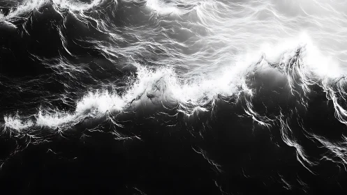 Silver storm over inky seas, a dance of light and shadow.