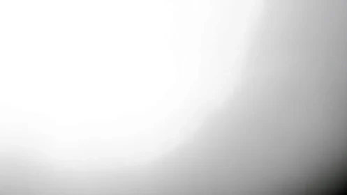 High-key grayscale gradient forms abstract minimal light field