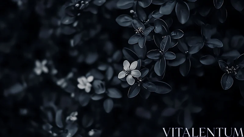 Delicate white flowers among dark foliage.
