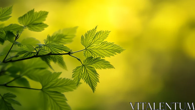 Green backlit leaves extend sharply against blurred yellow