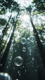 Soap bubbles suspended in forest canopy with diffused sunlight