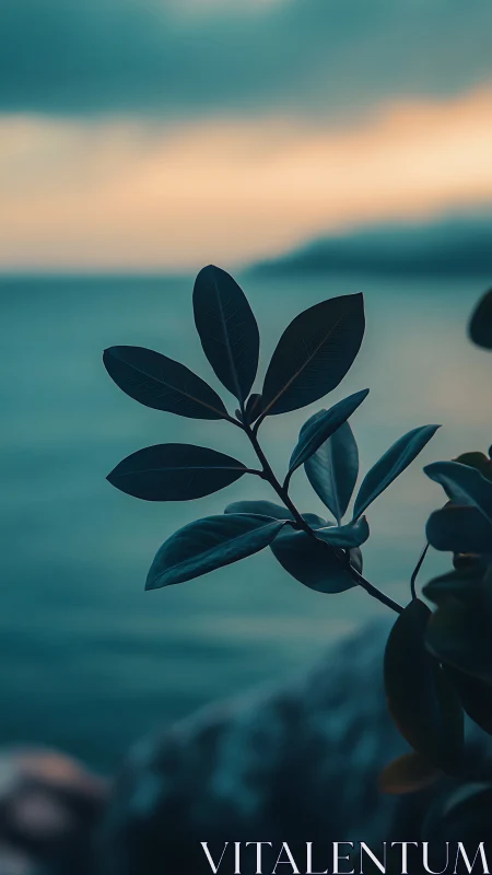 Coastal foliage silhouette against teal sea and blurred dusk sky