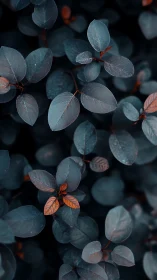 Teal foliage with copper highlights under soft bokeh light