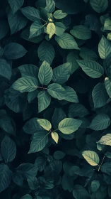 Midnight garden leaves whisper in cool teal shadows.