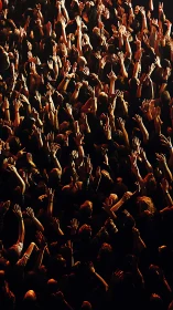 Crowd with raised hands under dramatic concert lighting.