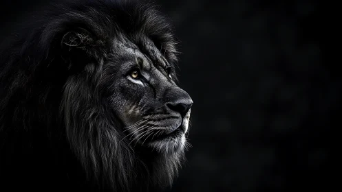 Side profile shows lion head isolated against dark background