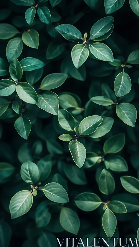 Emerald leaf lattice weaving quiet patterns in deep shade.