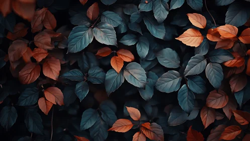 Copper and teal foliage pattern in moody low key lighting.