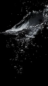 Clear water splash and bubbles on deep black background.