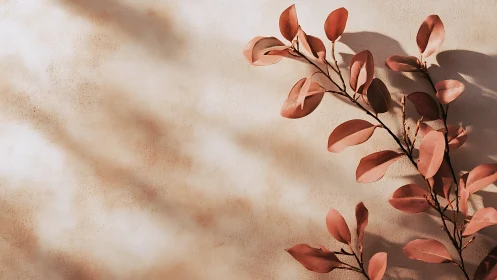 Dried blush leaves casting soft shadows on beige wall.