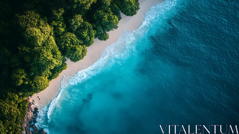 Coastal forest meets turquoise ocean waves from aerial perspective.