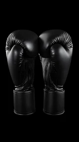 Black Boxing Gloves with Textured Surface Detail.