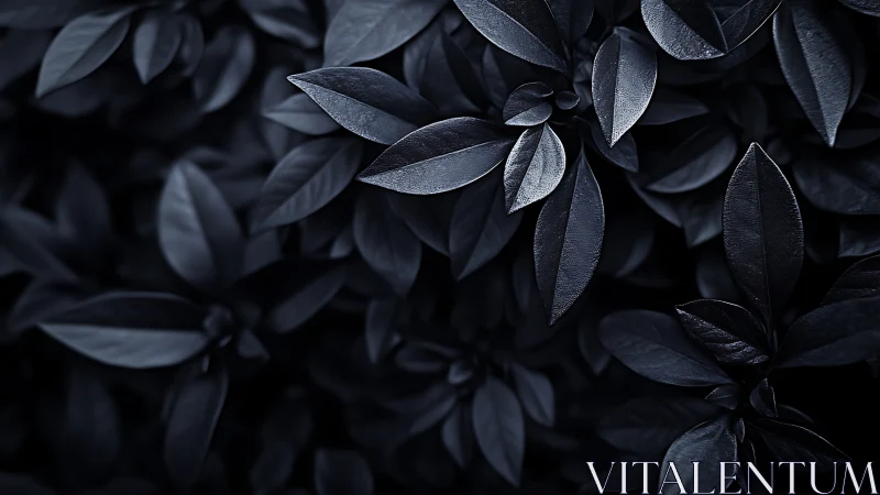 Dark glossy foliage forms dense overlapping abstract pattern