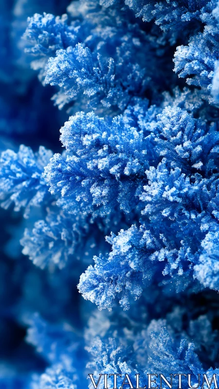 Frosty blue branches glow softly in a dreamy winter closeup