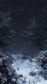 Snowy forest trail lies silent under dense falling night snow