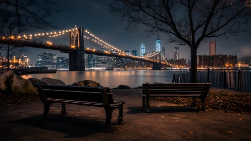 Brooklyn Bridge and city skyline viewed from riverside park.