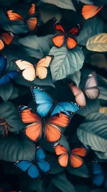 Butterflies cluster over broad leaves in high contrast light