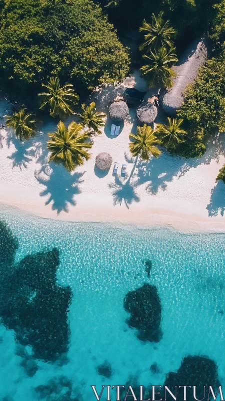 Tropical Paradise From Above: Sandy Shores and Azure Waters.