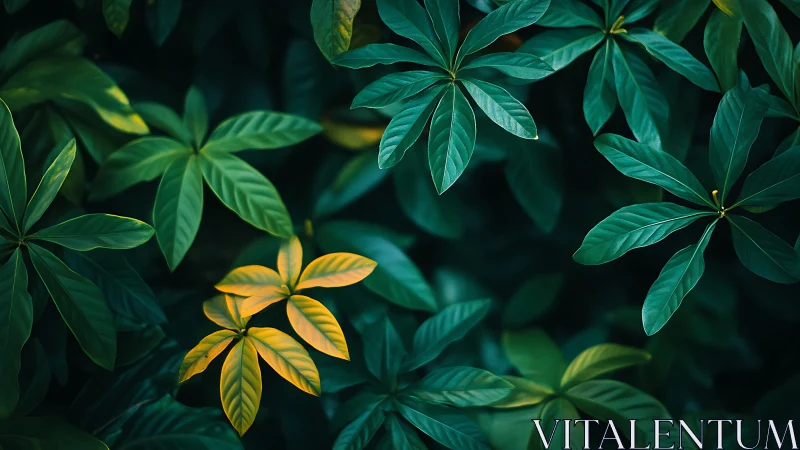 Emerald canopy with golden leaves whispering in twilight hush.