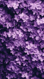 Purple Lilac Florals Dense Botanical Macro Study.