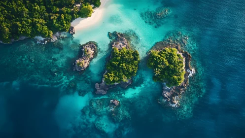 Aerial View of Tropical Coastal Formation with Vegetation.