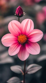 Bilateral Symmetrical Bloom with Orange Stamen Center and Magenta Petal Gradients