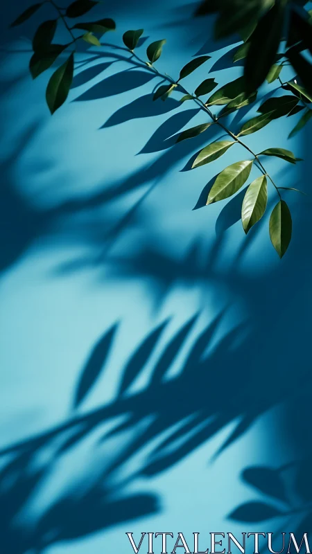 Sunlit green leaves cast calm, dancing shadows on blue