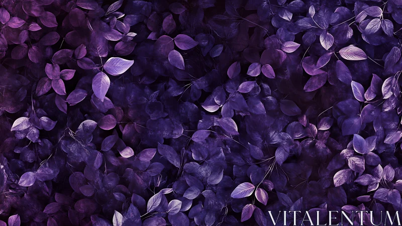 Irradiated violet foliage forms dense monochromatic canopy