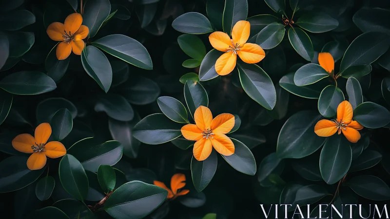 Golden blossoms resting softly in deep green leaves.