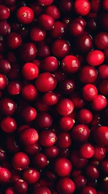 Glossy red cranberries in tight top-down macro composition.