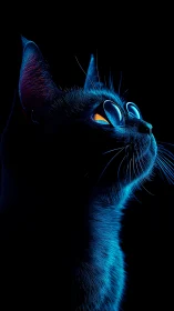 Neon Glowing Cat with Luminous Blue Eyes on Black