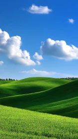 Rolling emerald hills under crisp stratocumulus sky.