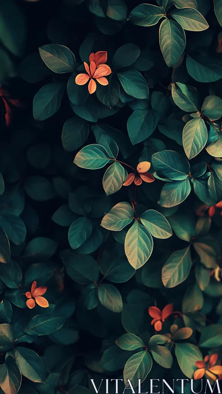 Moody teal foliage frames warm copper young leaves.