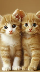 Twin Orange Tabby Kittens with White Markings Rendered in Digital Illustration