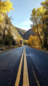 Wet asphalt canyon road with converging lines and autumn foliage