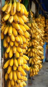 Banana bunches in vertical market display with shallow focus.
