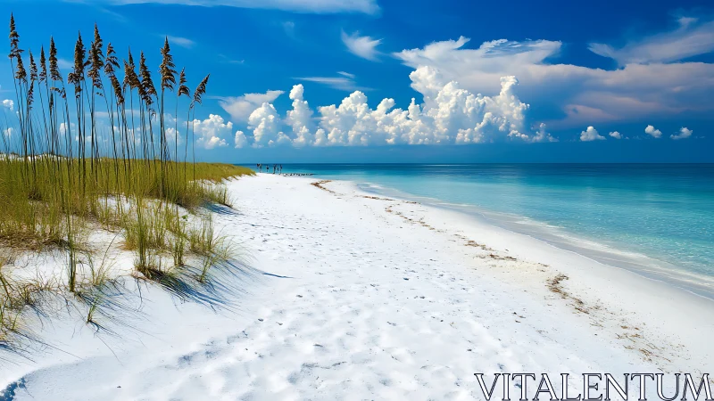 Sunlit white sand coastline invites a calm seaside wander