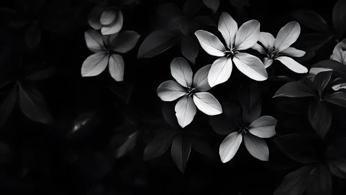 Luminous Petals Dance Through Midnight's Velvet Embrace.