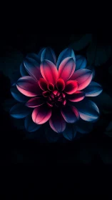 Neon Bloom: Digital Dahlia with Chromatic Gradient Rendering.