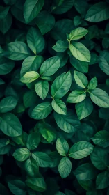 Green foliage pattern with overlapping oval leaves.