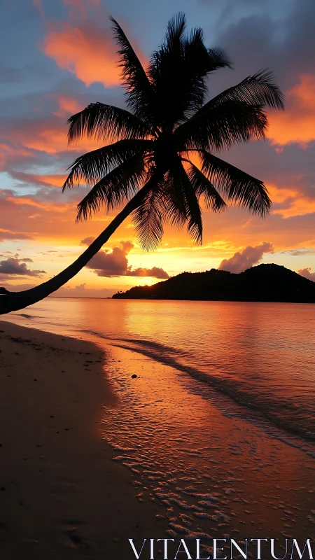 Palm silhouette dominates vivid tropical sunset sky.