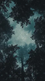 Starlit Forest Canopy: Nature's Magical Night Sky Window.