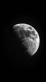 High-contrast telescopic study of lunar craters and terminator.