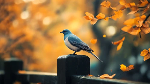 Blue bird perched on fence in autumn forest, vibrant colors.