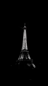 Eiffel Tower illuminated at night against black sky.