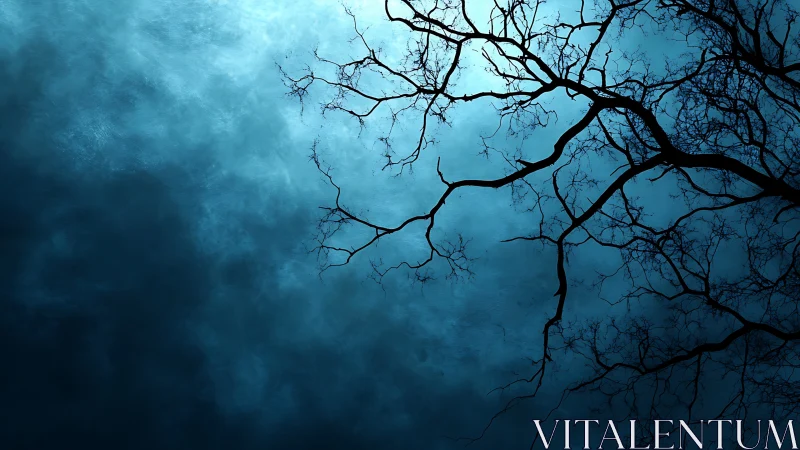 Bare tree branches silhouette against moody blue cloudy night sky.