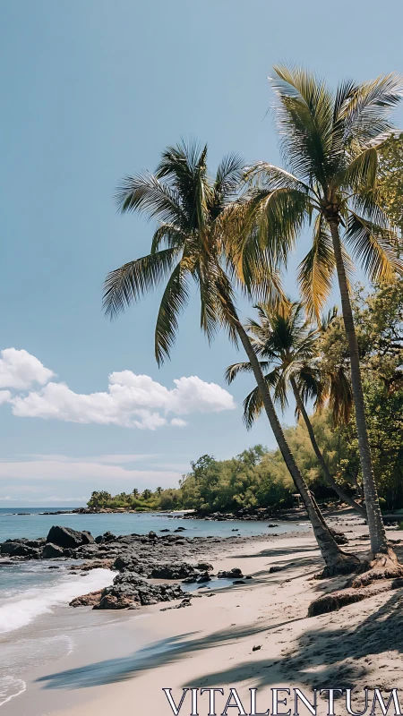 Palm trees on tropical beach with clear blue sky and rocky shoreline