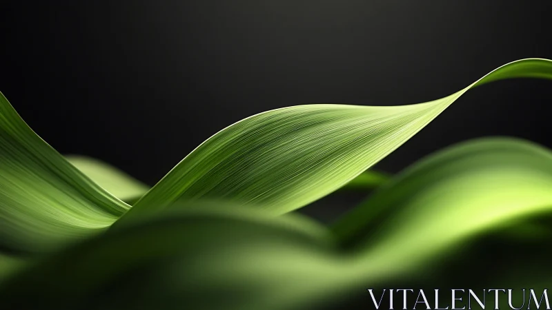 Curved green leaf blade rises in soft cinematic light.
