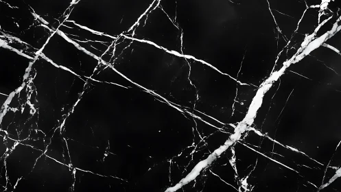 Black marble slab shows sharp white veining across surface